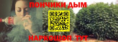 мдпв Пугачёв
