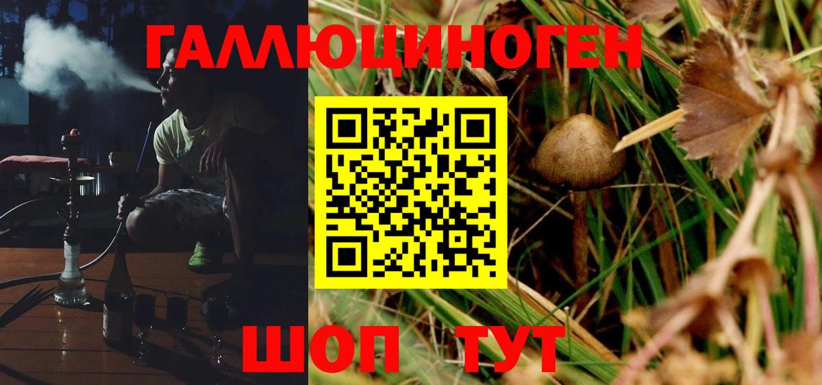 Псилоцибиновые грибы мицелий Серпухов